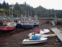 nova scotia 022.jpg